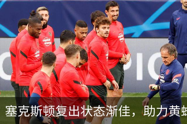 塞克斯顿复出状态渐佳，助力黄蜂战胜快船